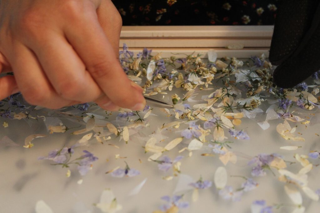 painting with dry flowers